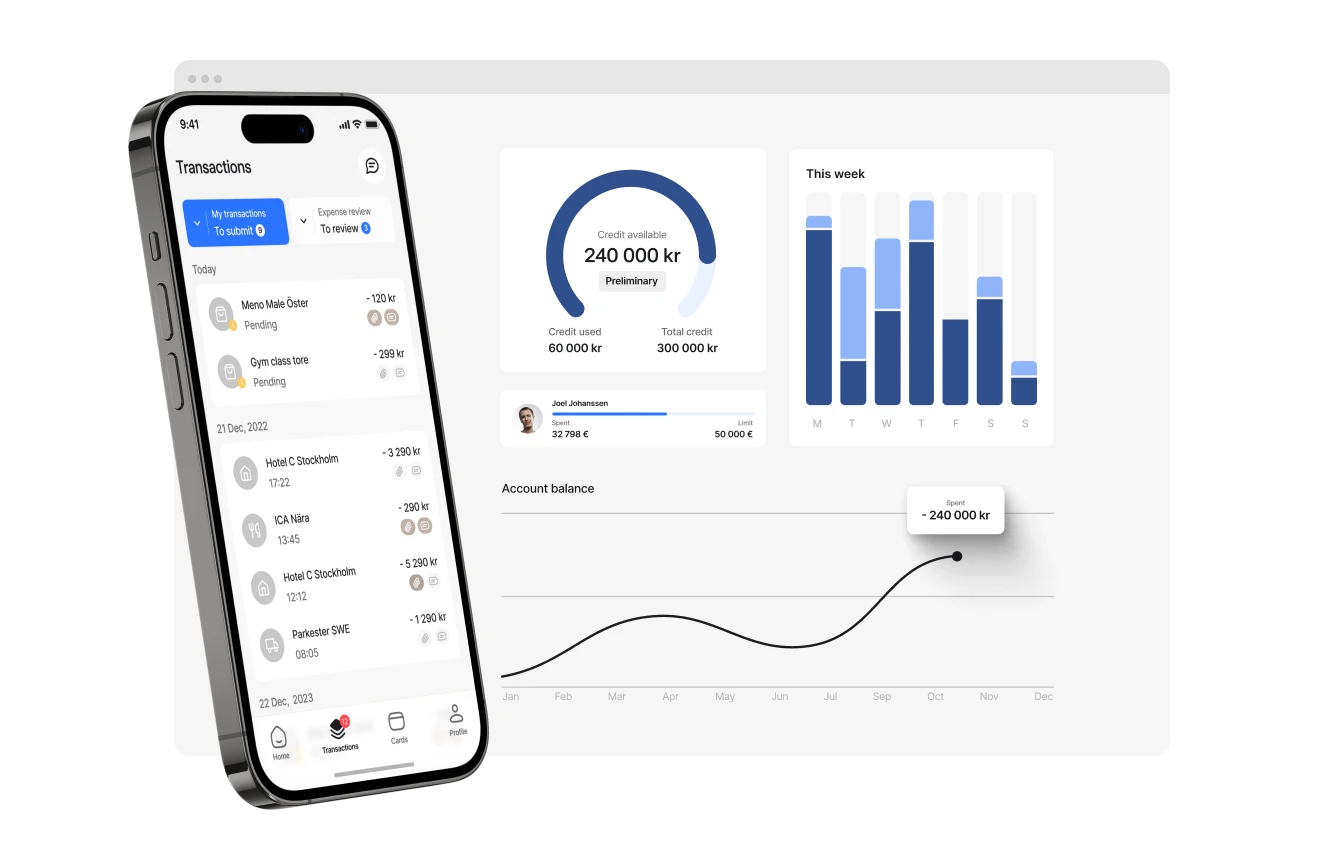 Mynt platform, Source: Mynt